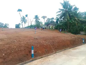 අලුත්වලින් බිම් කොටස් විකිණීමට