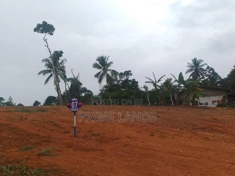 අලුත්වලින් බිම් කොටස් විකිණීමට