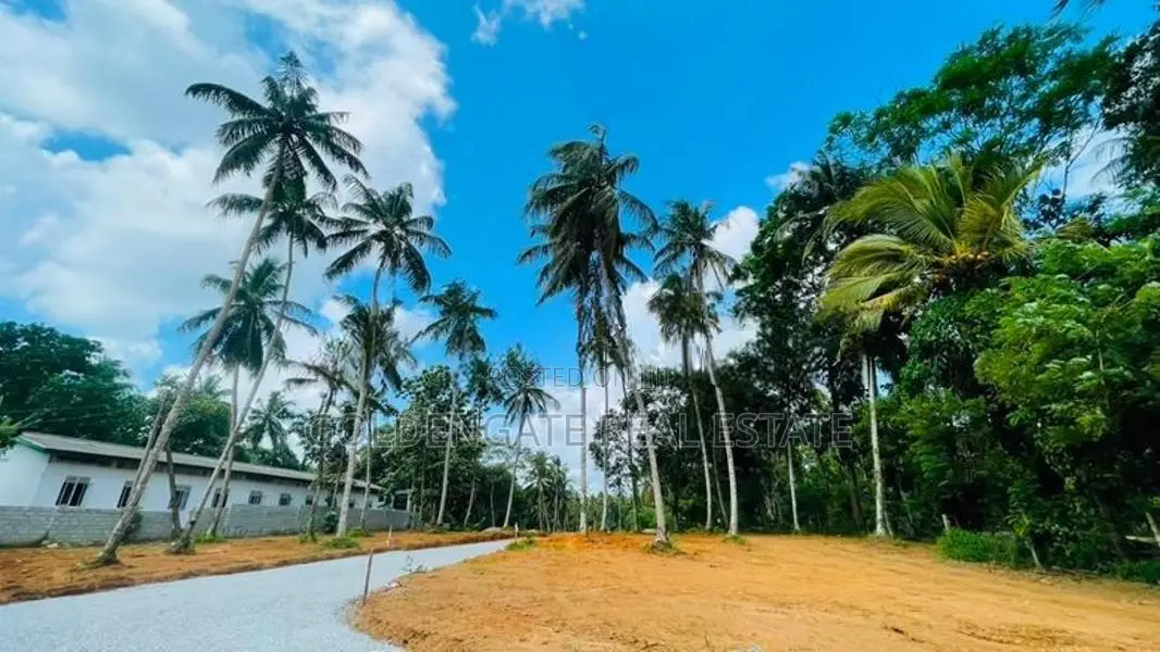 Yakkala කොළඹ නුවර පාරට ලගින් වටිනා බිම් කොටස් කිහිපයක් විකිණීමට