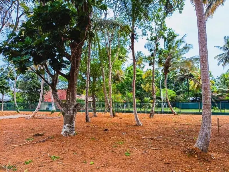 සංචාරකයන් බහුල දකුණු වෙරළ තීරයට සමීපයෙන් ඇති වටිනා ඉඩමක් විකිණීමට