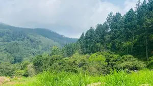 Land for sale in Ella