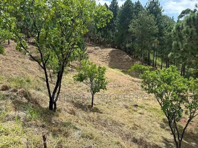 Beautiful Land Plots for Sale in Ella