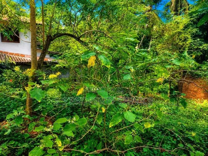 10.35 Perches Land for Sale in Nawagamuwa (SSPL-497)