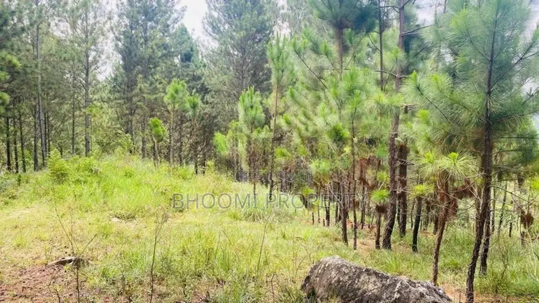 Land for sale in Ella