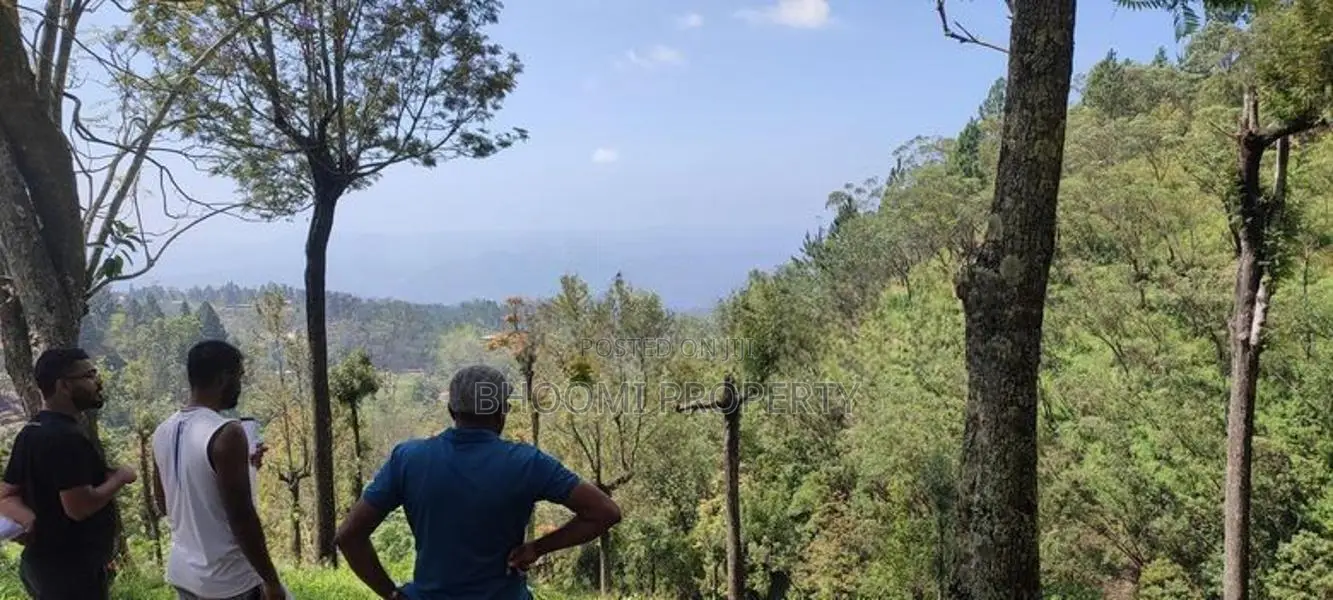 Natural Land for sale in Haputale