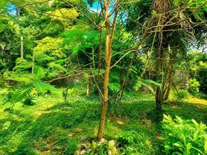10.35 Perches Land for Sale in Nawagamuwa (SSPL-497)