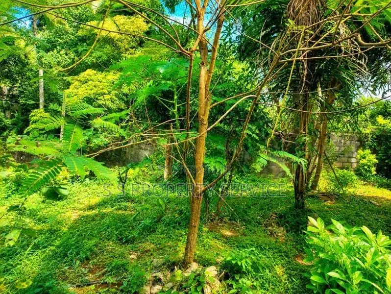 10.35 Perches Land for Sale in Nawagamuwa (SSPL-497)