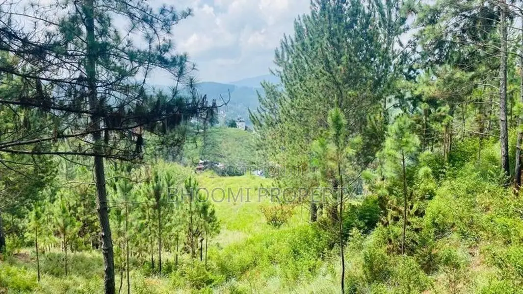 Beautiful Land Plots for Sale in Ella