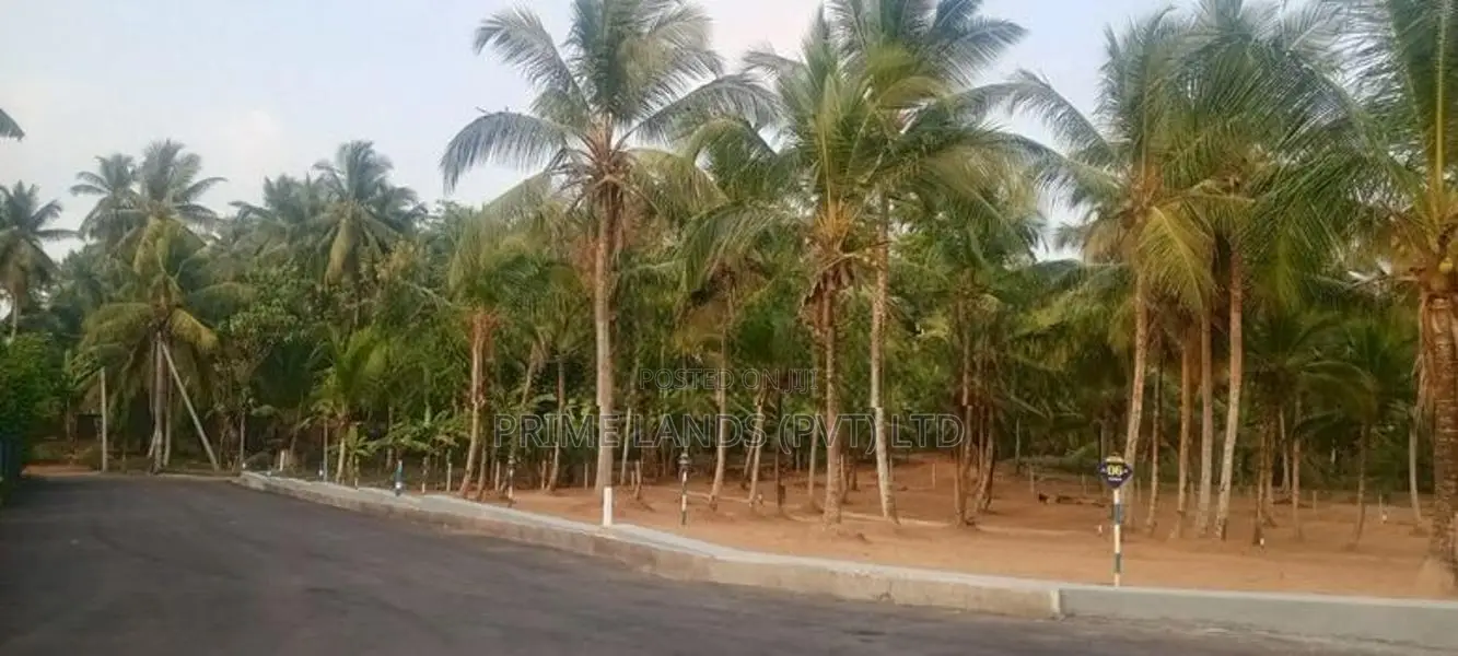 කඩවත ඉඩම විකිණීමට
