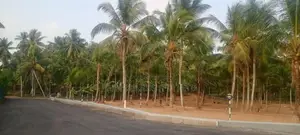 කඩවත ඉඩම විකිණීමට