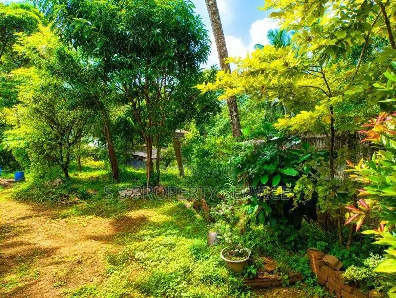 10.35 Perches Land for Sale in Nawagamuwa (SSPL-497)