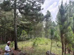 Land for sale in Ella
