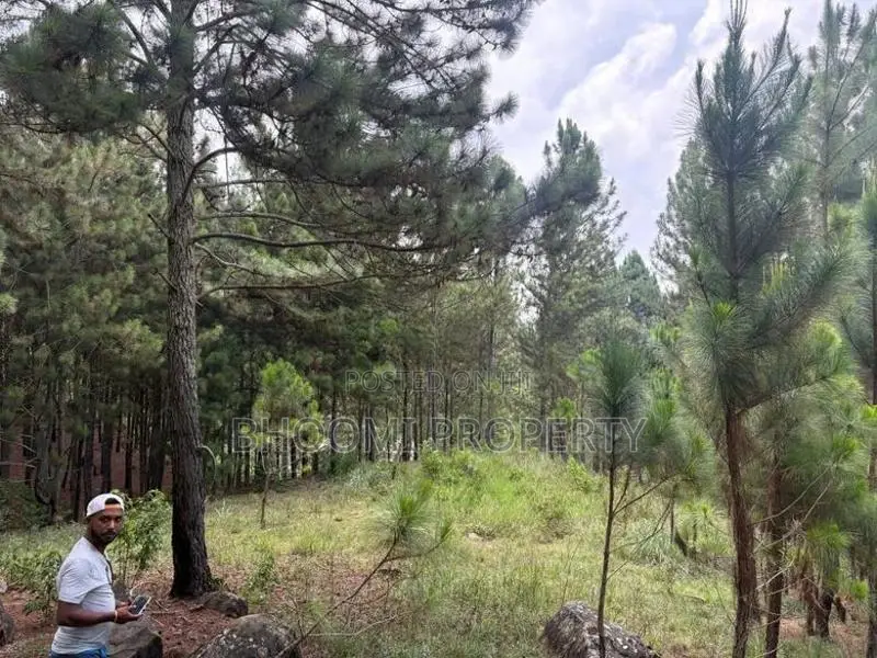 Land for sale in Ella
