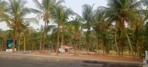 කඩවත ඉඩම විකිණීමට