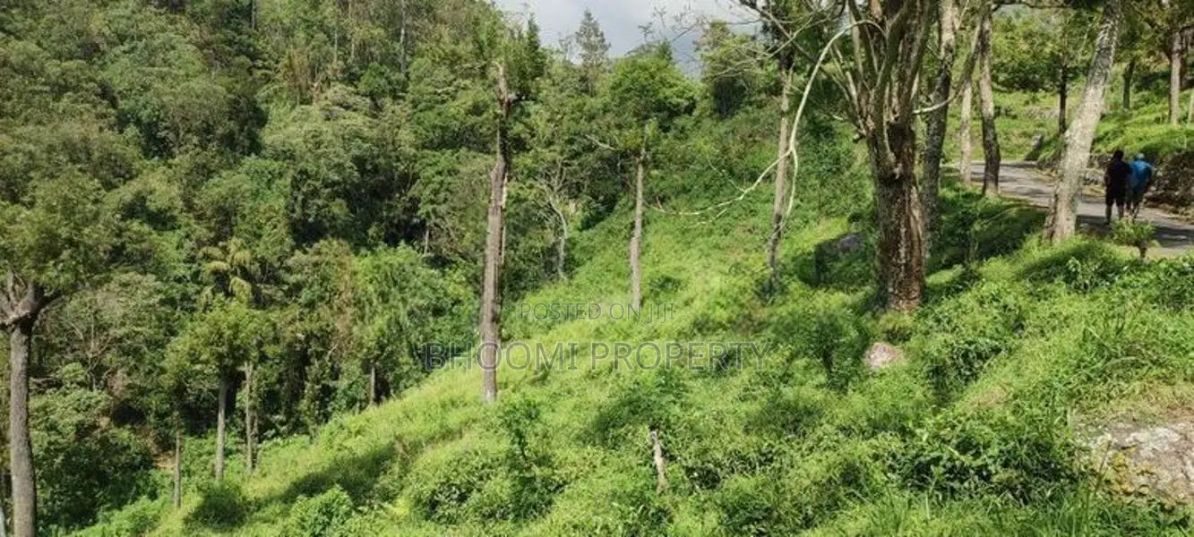 Land for sale in Haputale