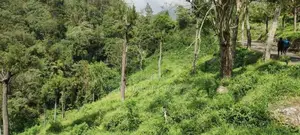 Land for sale in Haputale