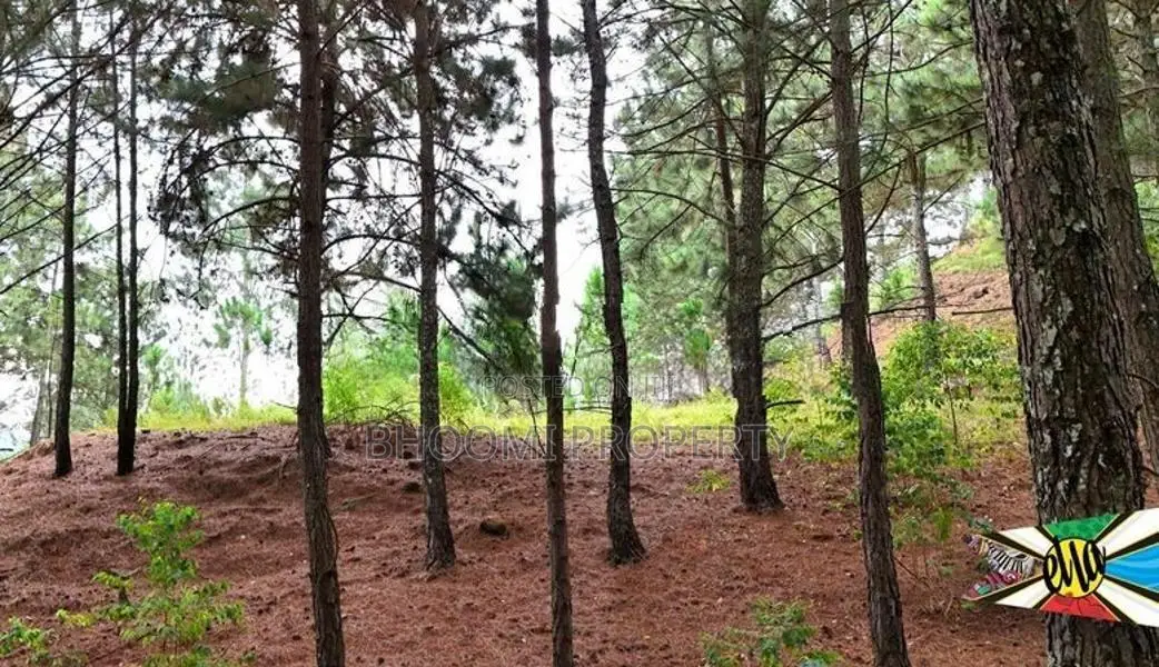 Land for sale in Ella