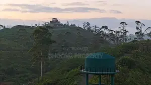 Natural Land for sale in Hatton