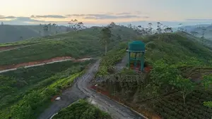 Natural Land for sale in Hatton