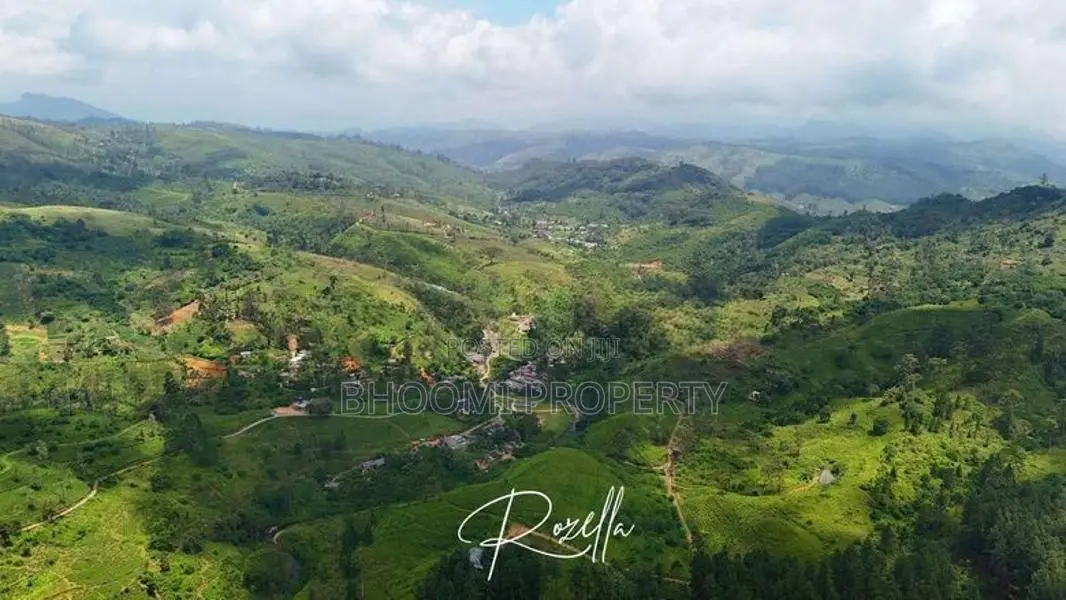 Bungalow for Sale Facing Nature Rozella Ds Hatton