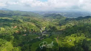 Bungalow for Sale Facing Nature Rozella Ds Hatton