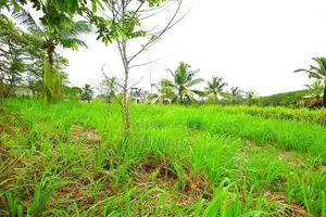 Flat Land for Sale in Kahathuduwa