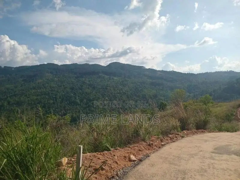 Land for Sale Nillamba