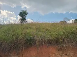 Land for Sale Nillamba