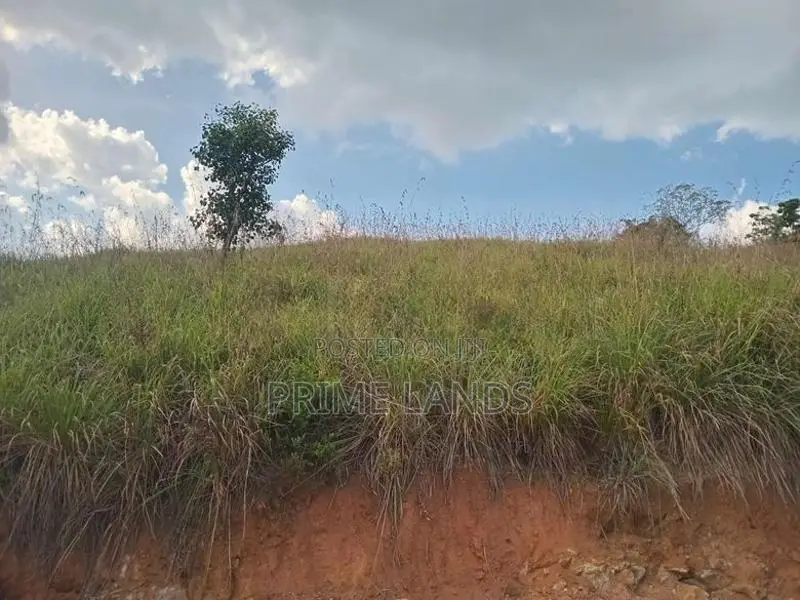 Land for Sale Nillamba