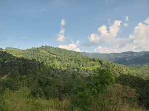 Land for Sale Nillamba