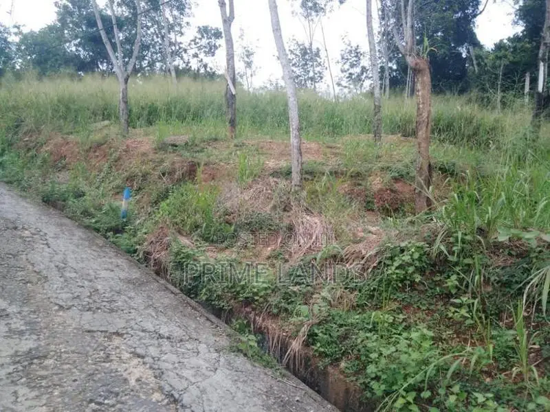 Land for Sale Uthuwankanda