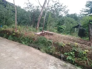 Land for Sale Uthuwankanda