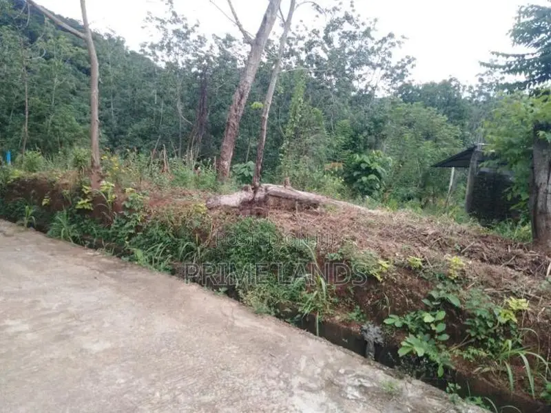 Land for Sale Uthuwankanda