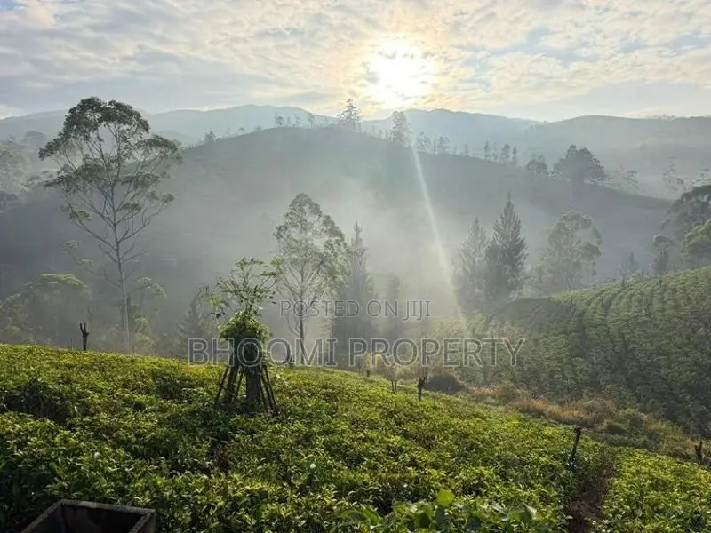 Natural Houses for Sale in Rozella