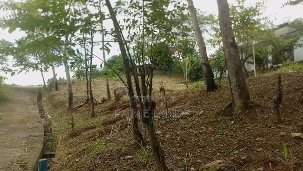 Land for Sale Uthuwankanda