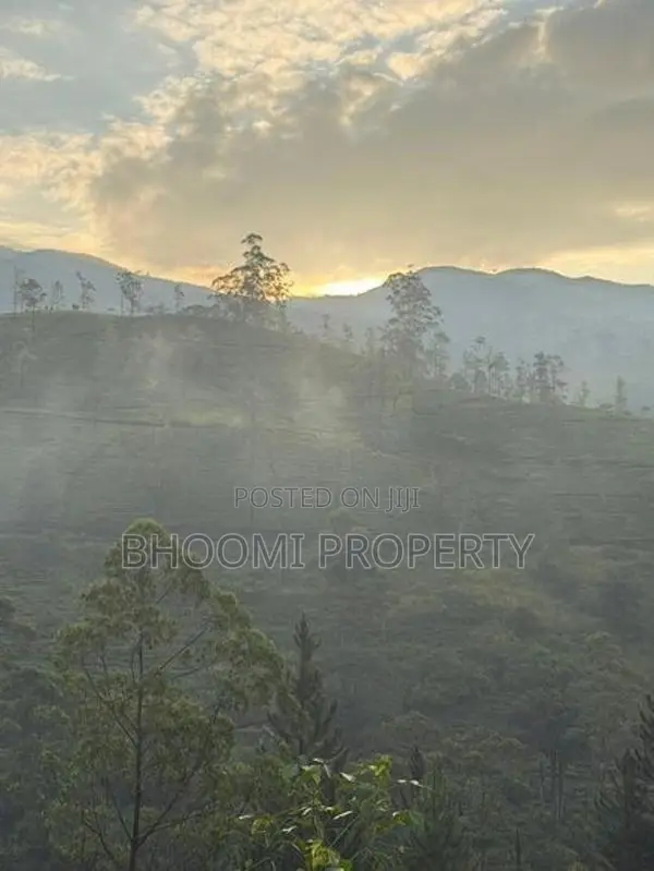 Natural Houses for Sale in Rozella