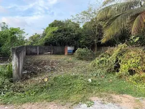 Land for Sale in Dehiwala ( Manthrimulla Road)