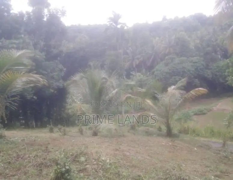 Land for Sale Randeniya