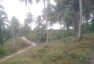 Land for Sale Randeniya