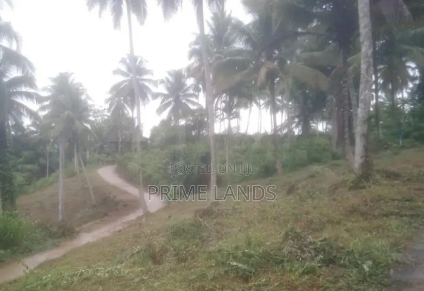Land for Sale Randeniya