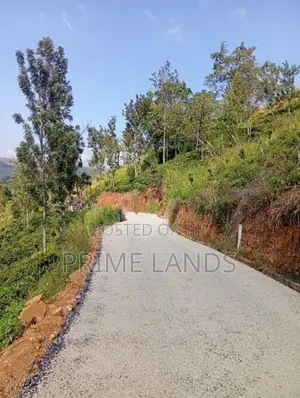 Land for Sale Nillamba