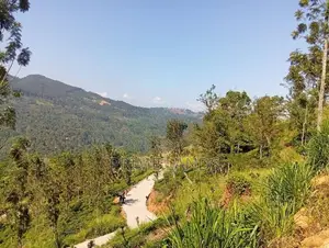 Land for Sale Nillamba