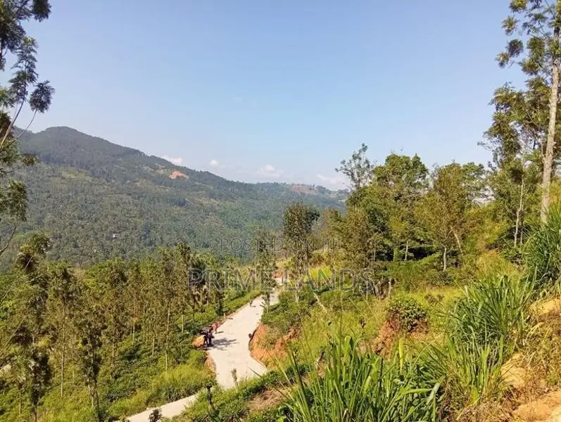Land for Sale Nillamba