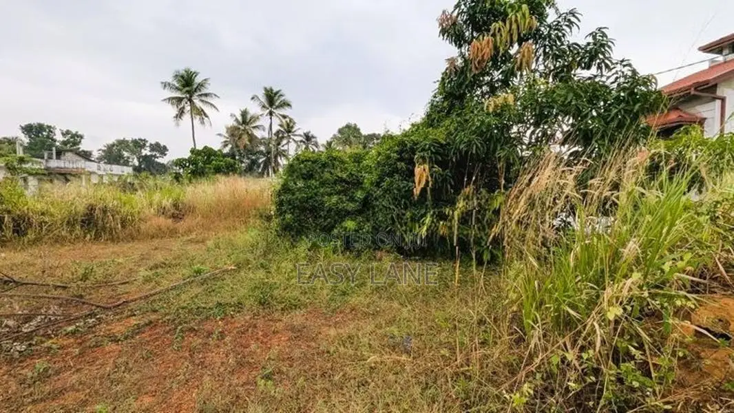 Land for Sale in Aththanagalla - CA 12614
