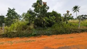 Land for Sale in Aththanagalla - CA 12614