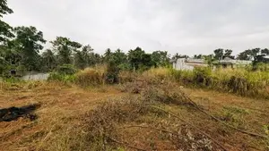 Land for Sale in Aththanagalla - CA 12614