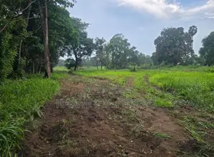 1 Acre Bare Land for Sale in Kurunegala