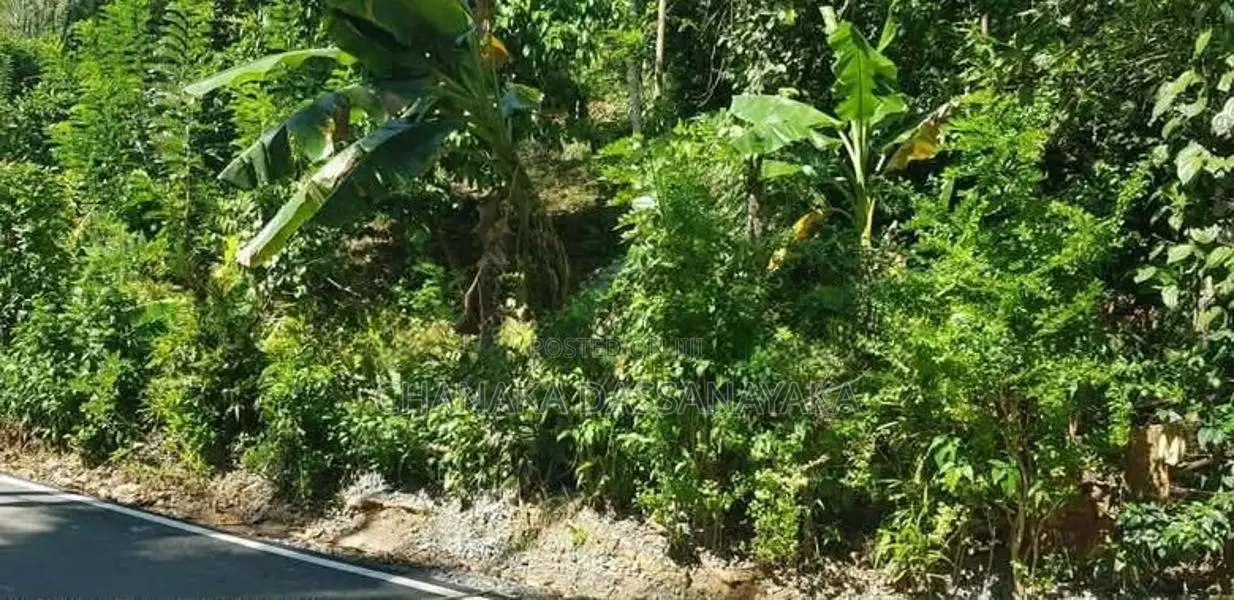 Land for Sale කඩුගන්නාව