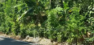 Land for Sale කඩුගන්නාව