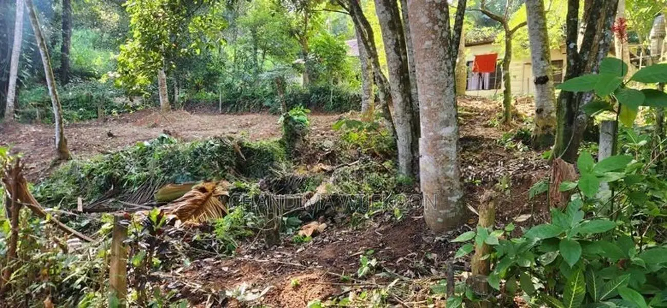9 Perch Bare Land for Sale in Pilimathalawa